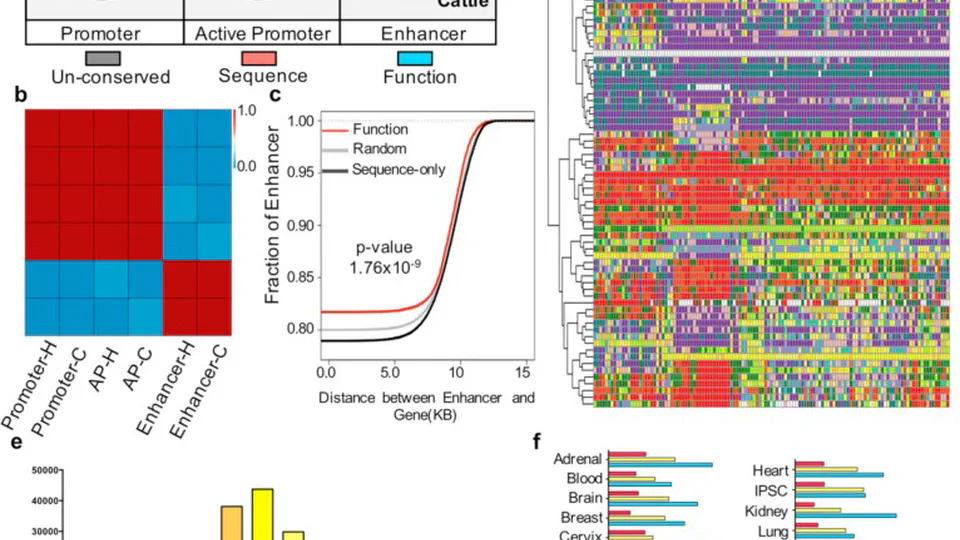 Identification and conservation analysis of cis-regulatory elements in pig liver