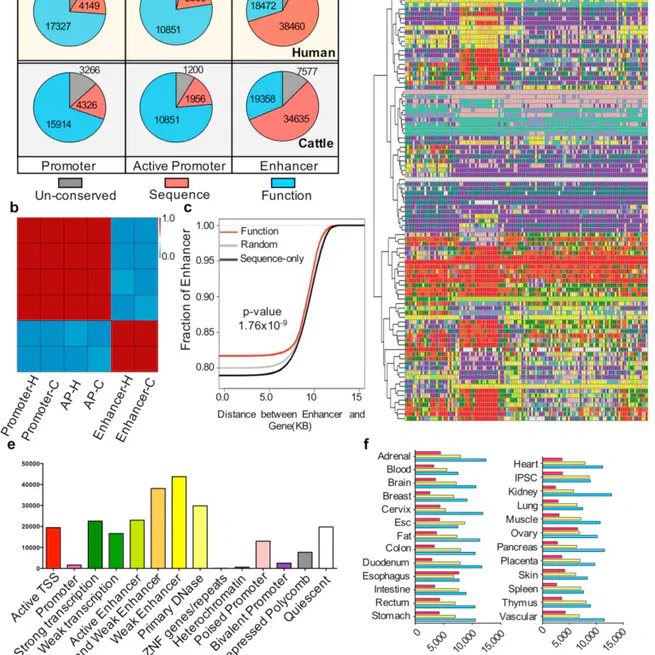 Identification and conservation analysis of cis-regulatory elements in pig liver